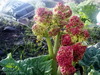 Ali_Sharifkazemi_931123 (12)_resize.jpg